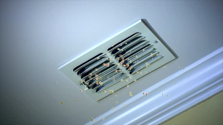 Best Home Air Vent Cleaning  in Lake St Louis, MO